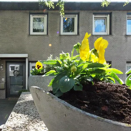Am Klinikum Apartment *